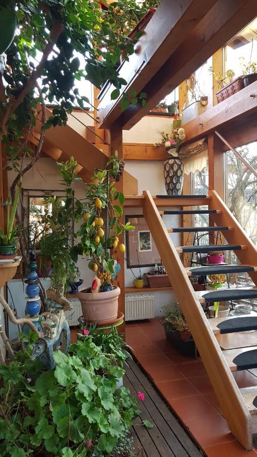 Zentrale Ferienwohnung Auf Dem Schoenen Hunsrueck Halsenbach Екстериор снимка